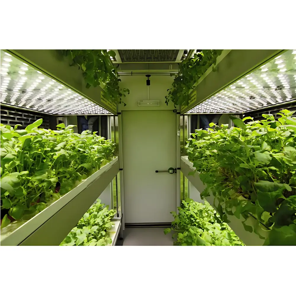PSI FytoScope Large-Scale Walk-In Plant Growth Chamber