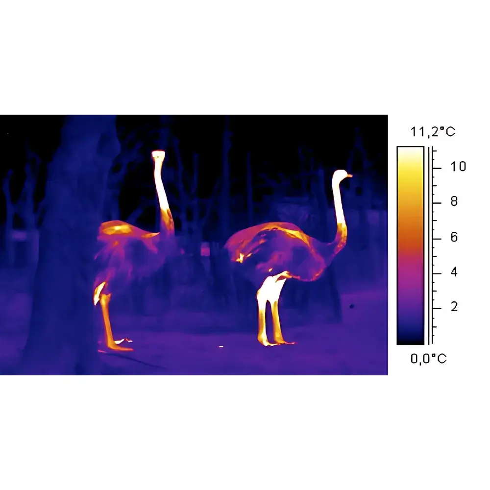 Workswell WIC Infrared Thermal Imaging Camera for Animal Science