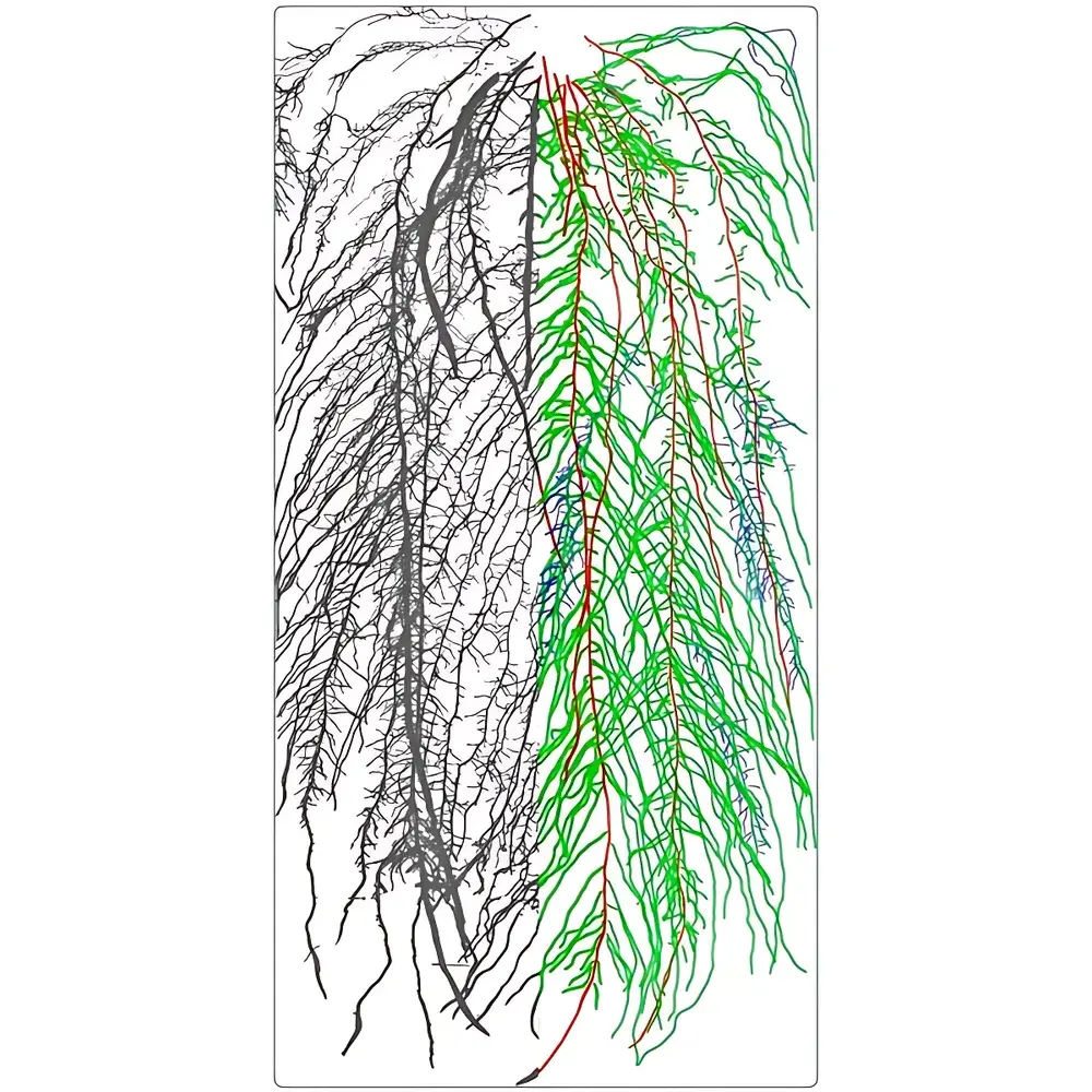 EcoTech SpectraScan-R Ex-situ Visible-Near Infrared Hyperspectral Root Imaging & Analysis System