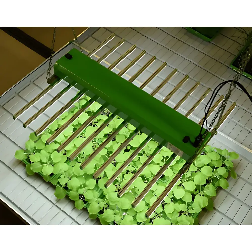 PSI Rod-Type Smart LED Light Source for Plant Phenotyping