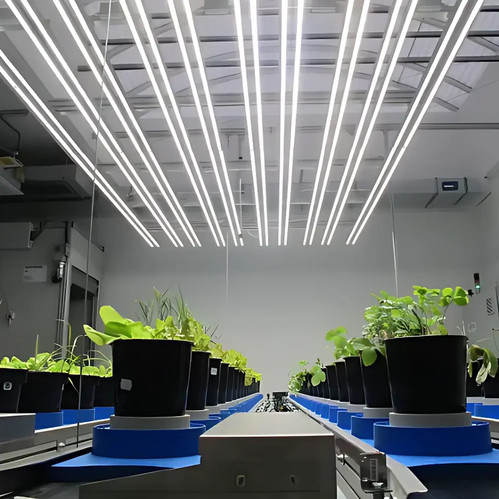 PSI Rod-Type Smart LED Light Source for Plant Phenotyping