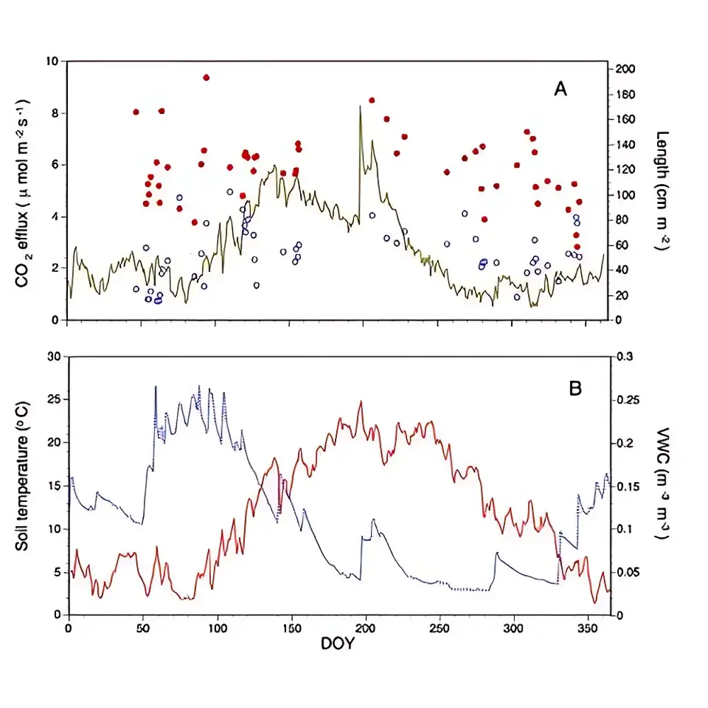 SCG-BTC In Situ Soil CO₂ and Root Dynamics Observation System