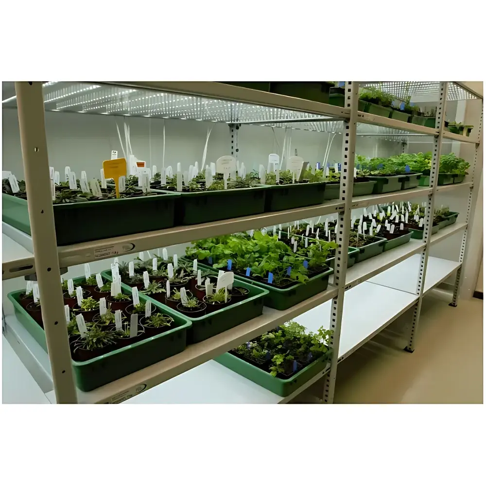 Smart LED Plant Growth Rack – CS Series with LC200 Controller