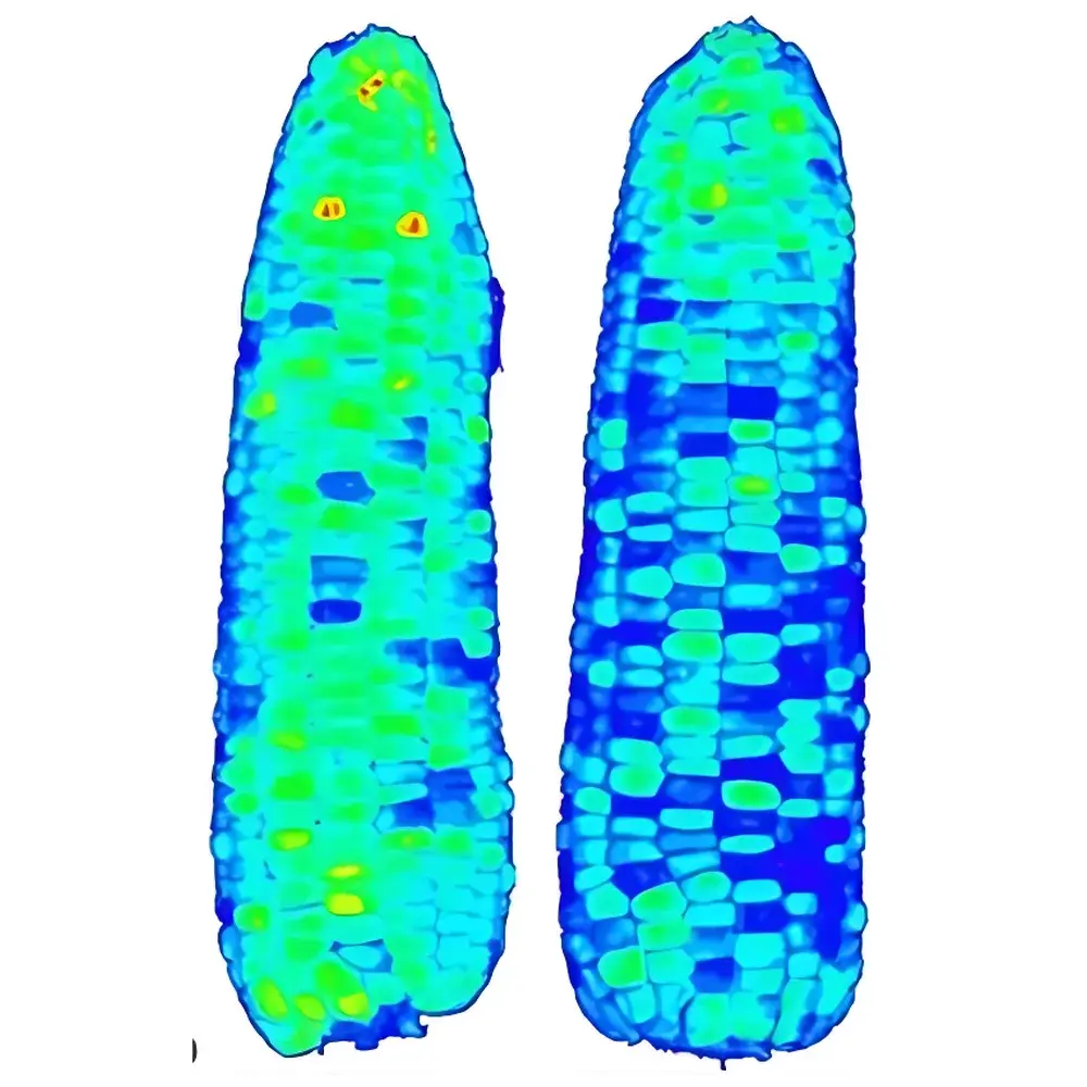 FluorTron UV-MCF Biological Fluorescence Hyperspectral Imaging System