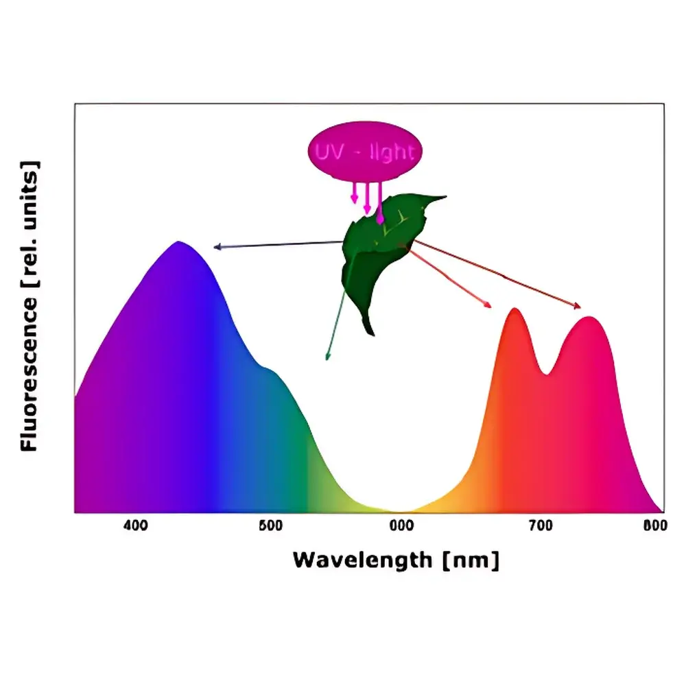 PSI FluorCam Large-Scale Plant Chlorophyll Fluorescence and Multispectral Imaging Platform