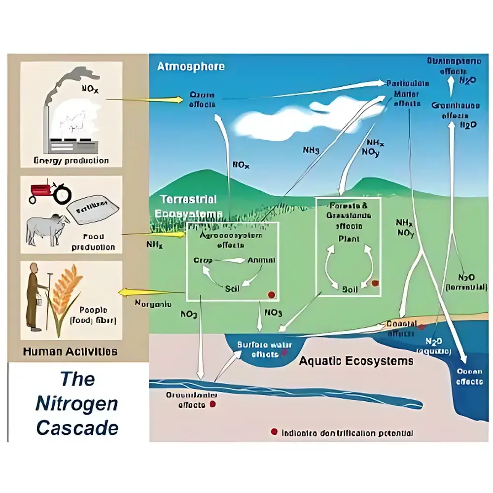 EcoTron EcoTron Nitrogen Deposition Online Monitoring System