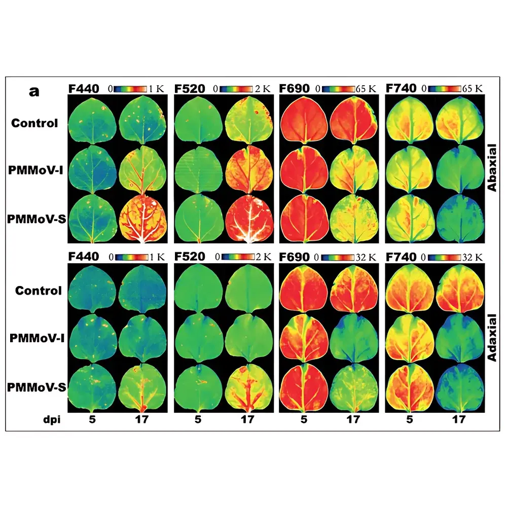 PSI FluorCam-MultiSpectral Modular Plant Phenotyping Imaging System