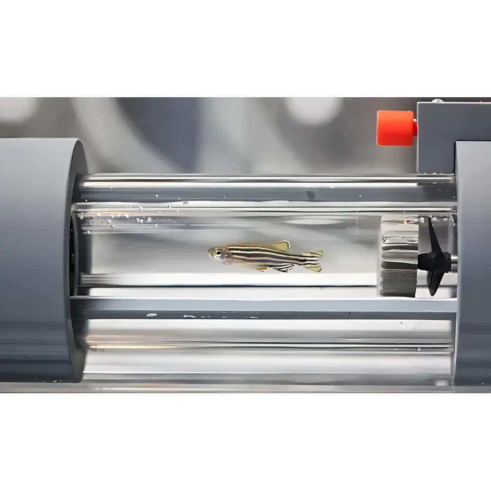 Loligo Systems Zebrafish Respirometry & Metabolic Measurement System