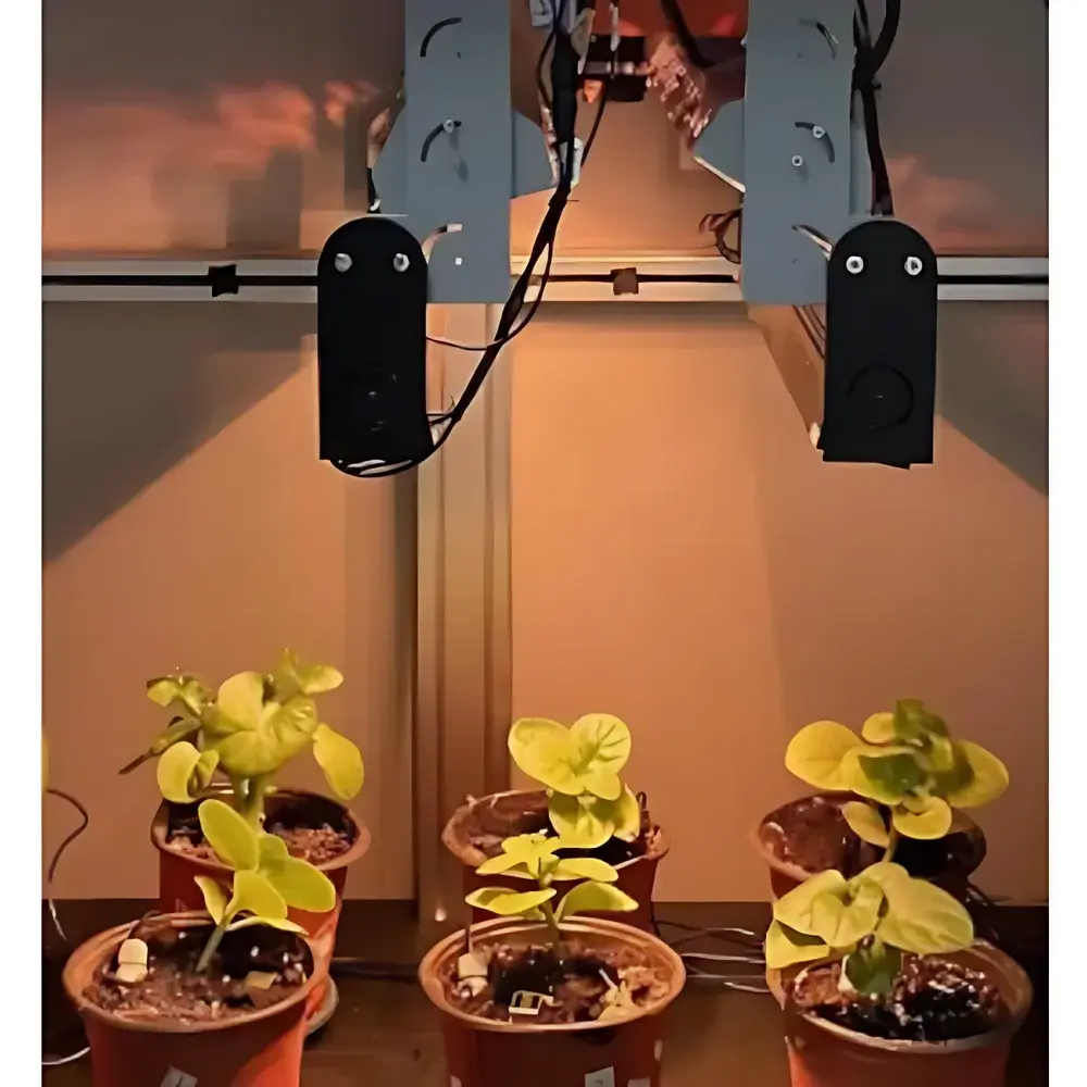 EcoTech Phenotron-iPOT Crop Functional Phenotyping System