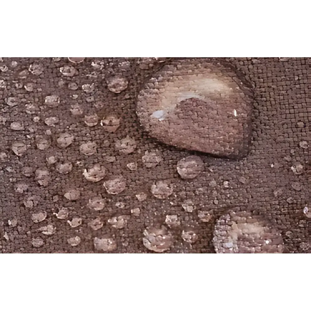 Attension Theta 3D Topography Module for Simultaneous Contact Angle and Surface Roughness Analysis