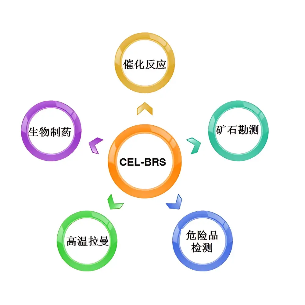 CEL-BRS BrightRaman Remote Online Raman Spectroscopy System