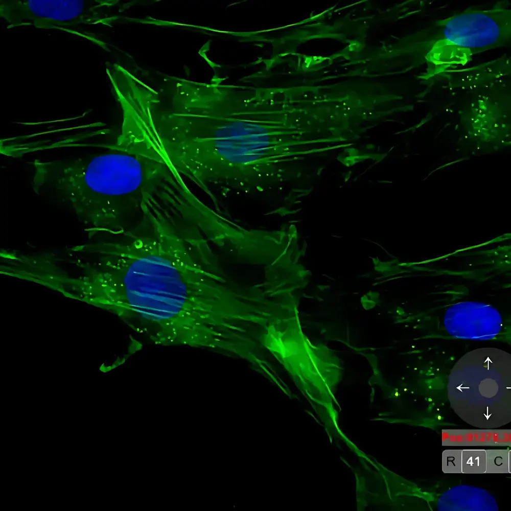 Revvity Hawkeye High-Speed, High-Resolution Whole-Slide Microscopy Scanner