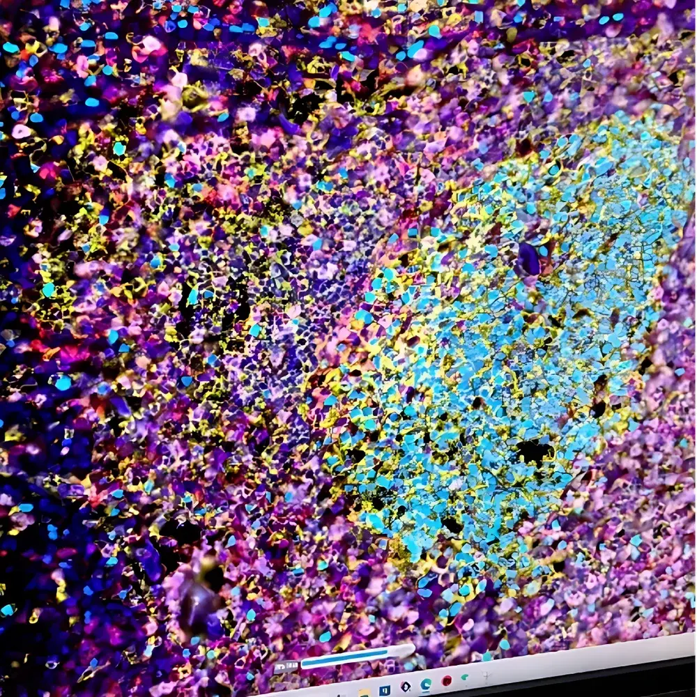 Revvity Hawkeye High-Speed, High-Resolution Whole-Slide Microscopy Scanner