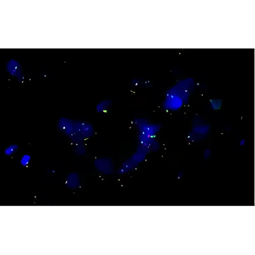 Revvity Hawkeye High-Speed, High-Resolution Whole-Slide Microscopy Scanner