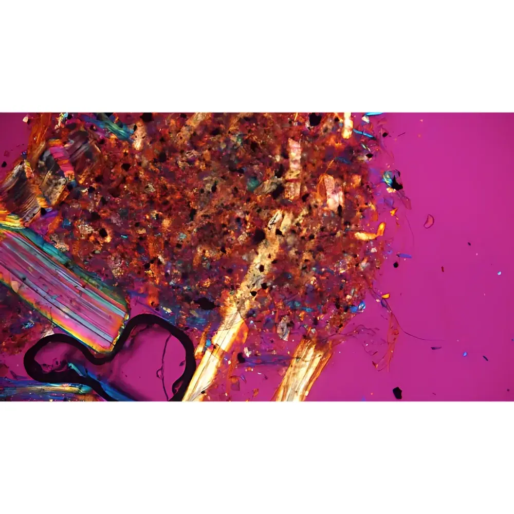 LEI-TECH SMBY Certified Asbestos Reference Standards for Polarized Light Microscopy (PLM)
