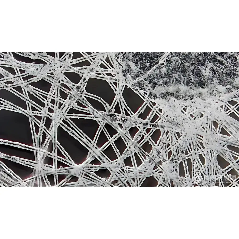 LEI-TECH LK-CJS220 & LK-CJS330 Extended Depth-of-Field 3D Digital Microscopy Systems