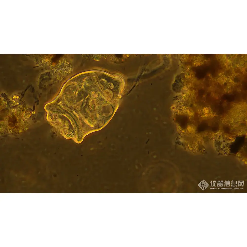 Lei-Tech LK-90 Inverted Biological Microscope
