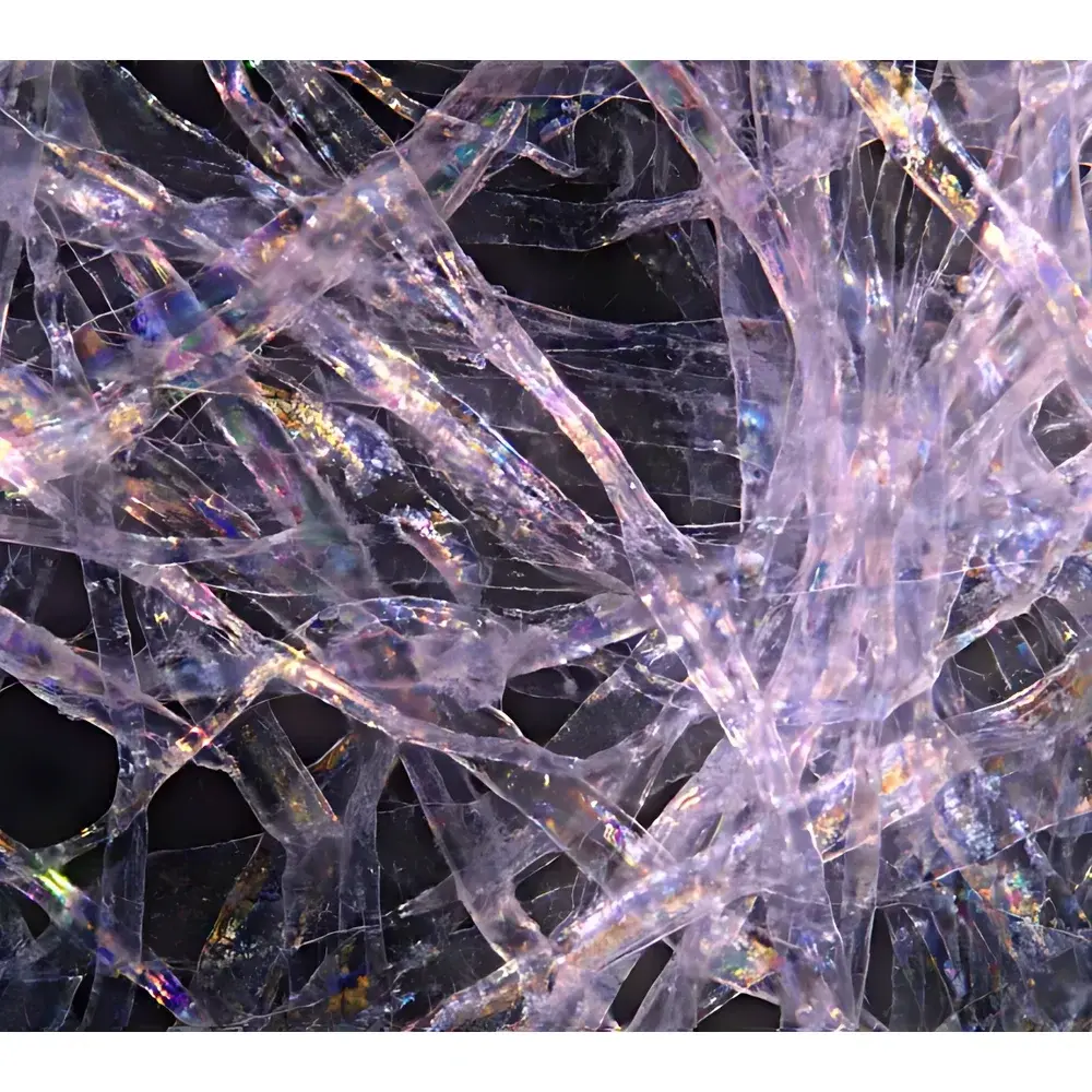 Lei-Tech LK-90 Inverted Biological Microscope