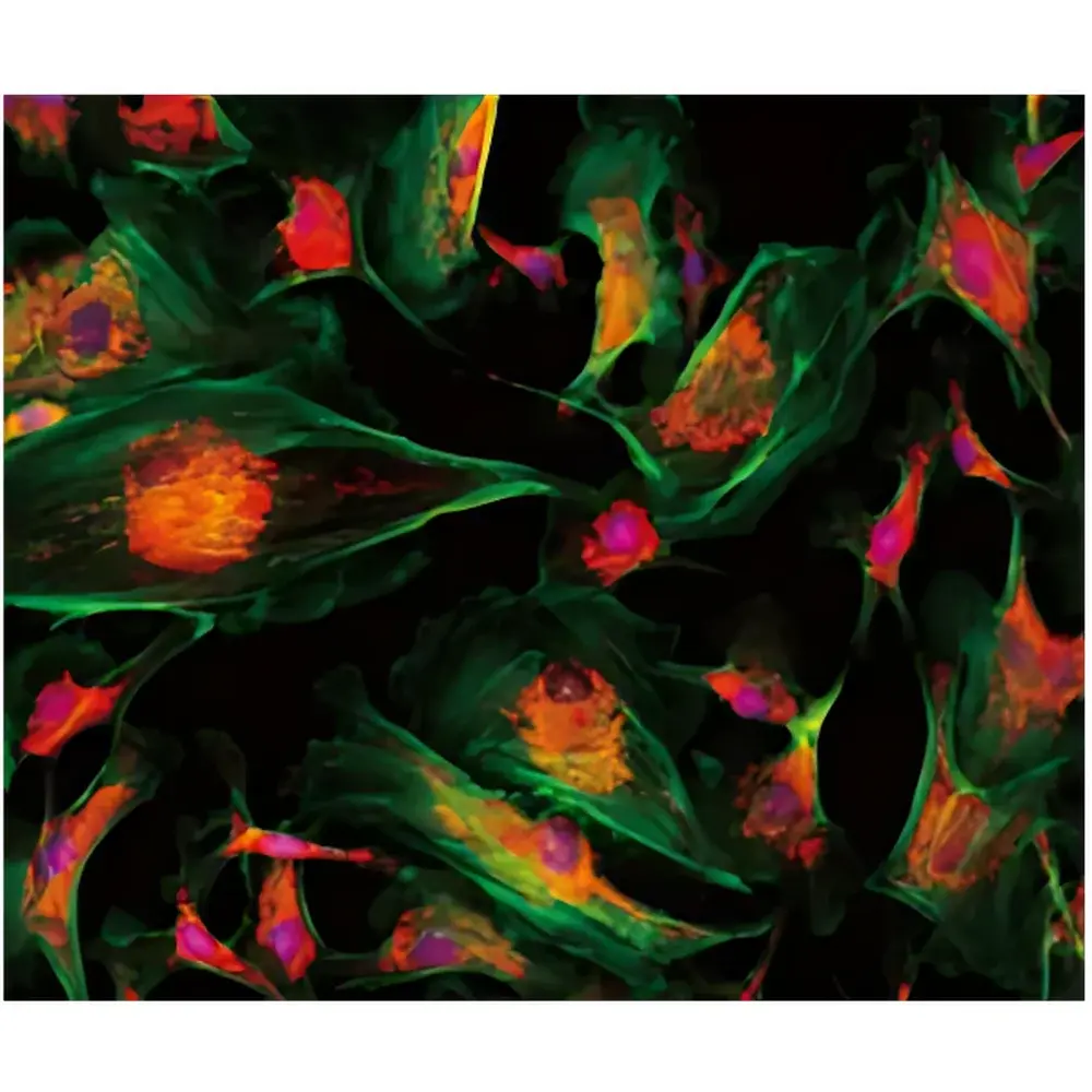 LEI-TECH LK-XWSMY Whole-Slide Digital Pathology Scanner