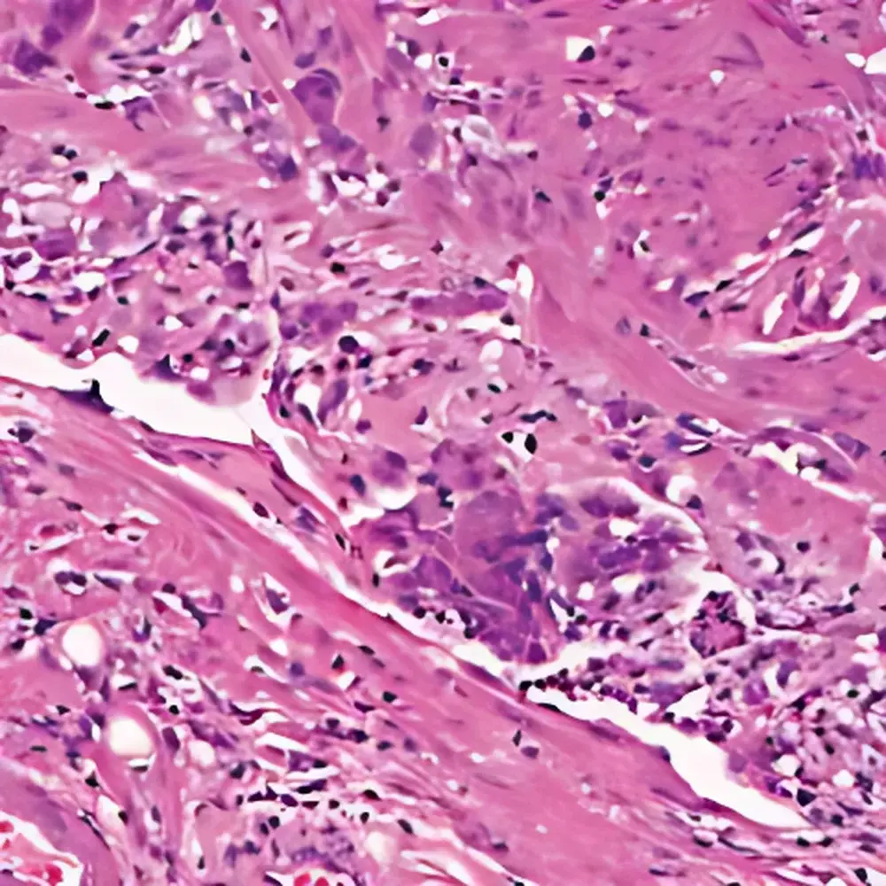 LEI-TECH LK-XWSMY Whole-Slide Digital Pathology Scanner