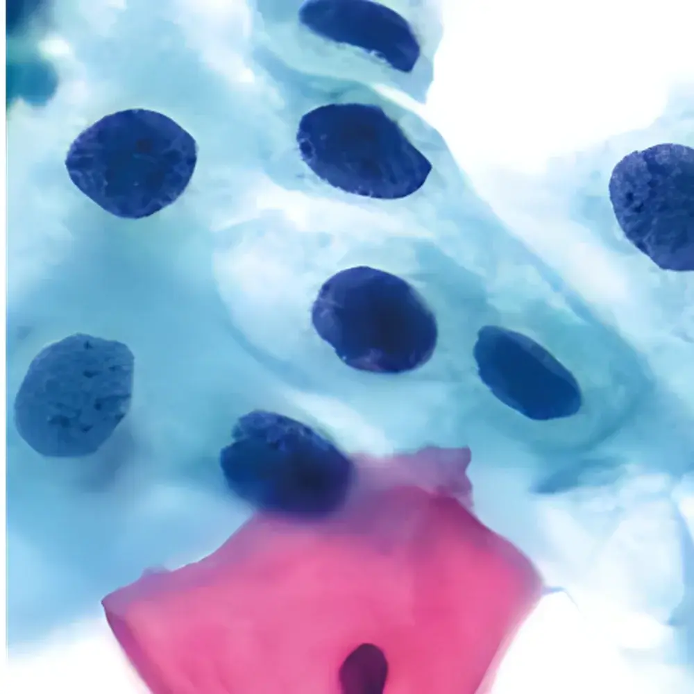 LEI-TECH LK-XWSMY Whole-Slide Digital Pathology Scanner