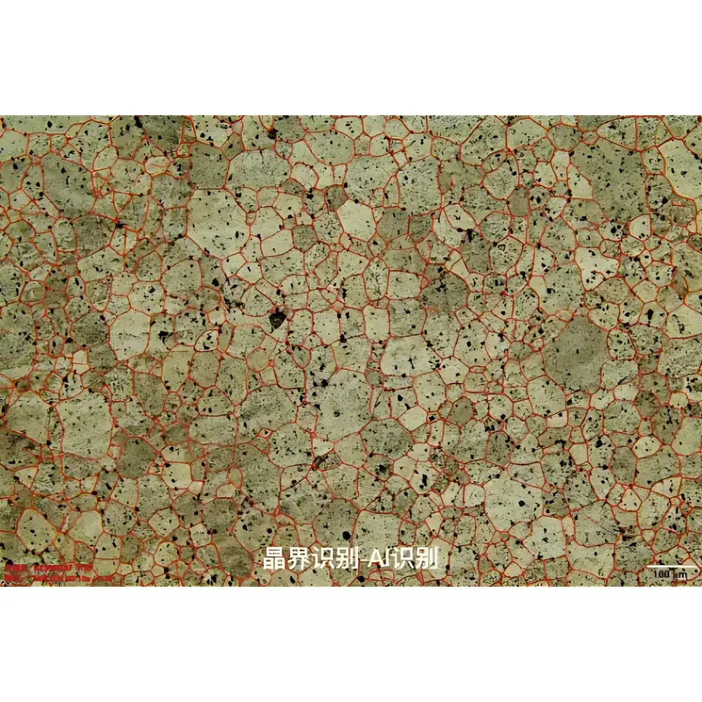 Lei-Tech LK-AISOFT AI-Powered Grain Size Analysis Software