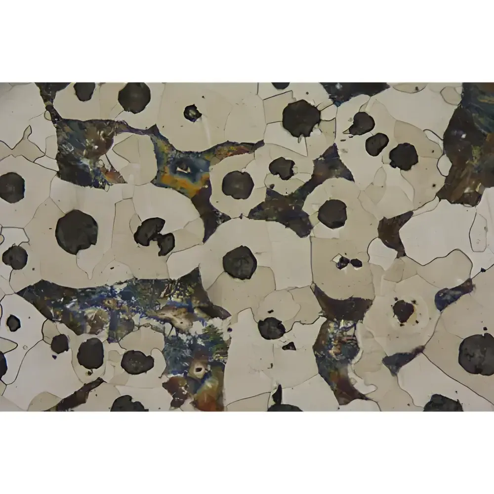Lei-Tech LK-900M Inverted Metallurgical Microscope