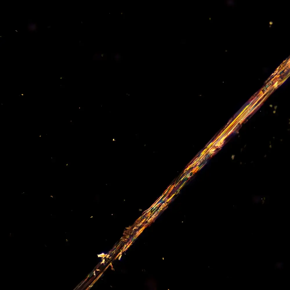 LEI-TECH LK-LRT-53P-600 Research-Grade Upright High-Temperature Polarizing Microscope