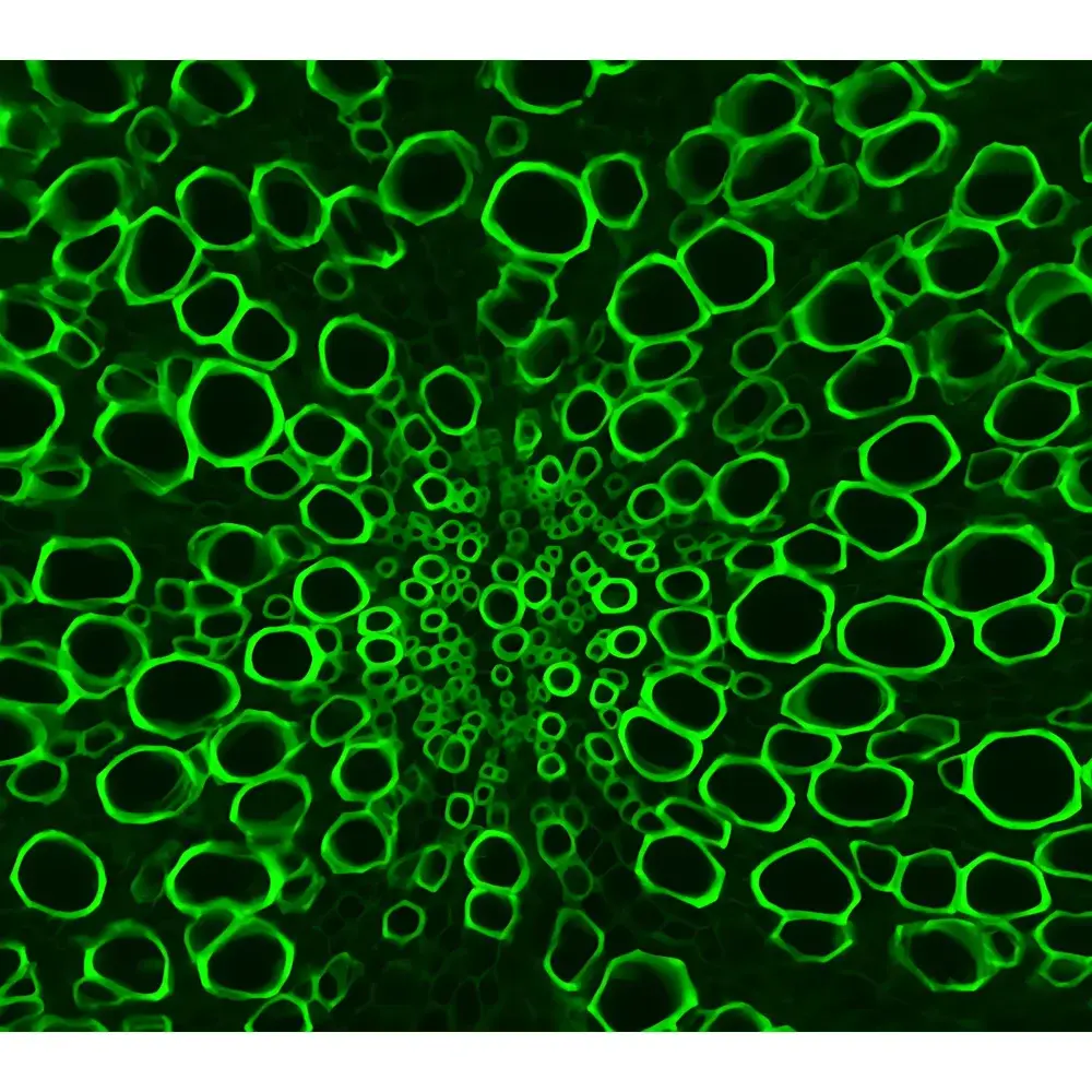 LEI-TECH LK-YG63 Research-Grade Upright Fluorescence Microscope