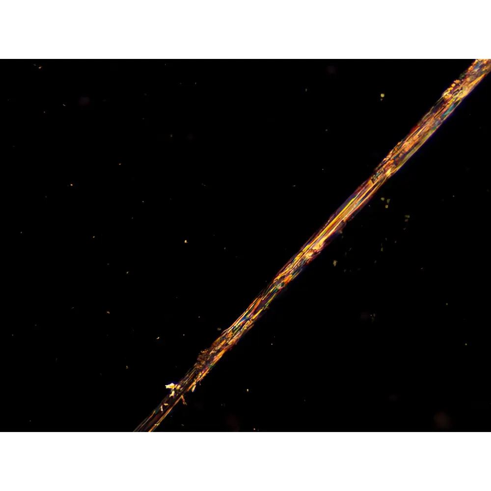 LEI-TECH LK53P-LRT600 Research-Grade Upright Polarizing Microscope with Integrated Cryo-Heating Stage