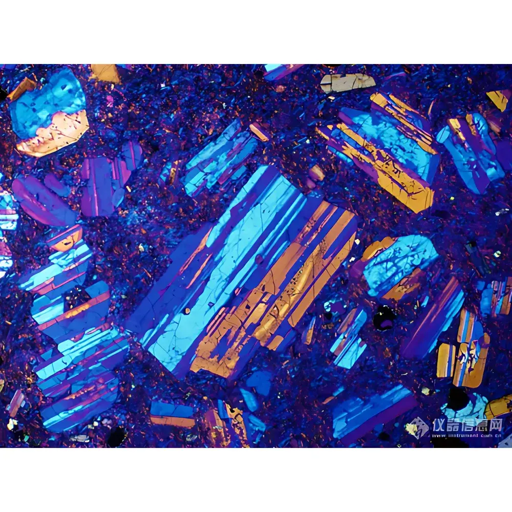 LEI-TECH LK-530P Research-Grade Upright Polarizing Microscope