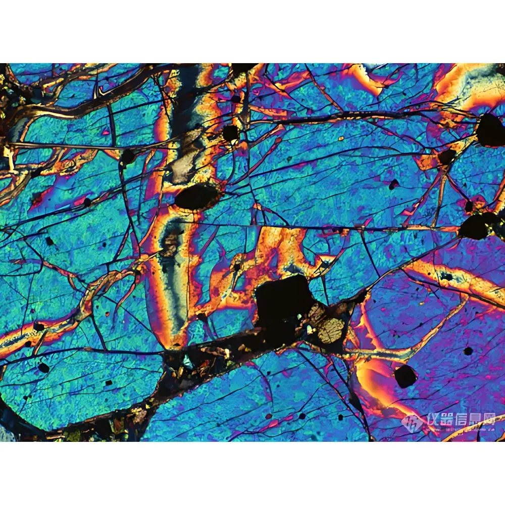 LEI-TECH LK-530P Research-Grade Upright Polarizing Microscope