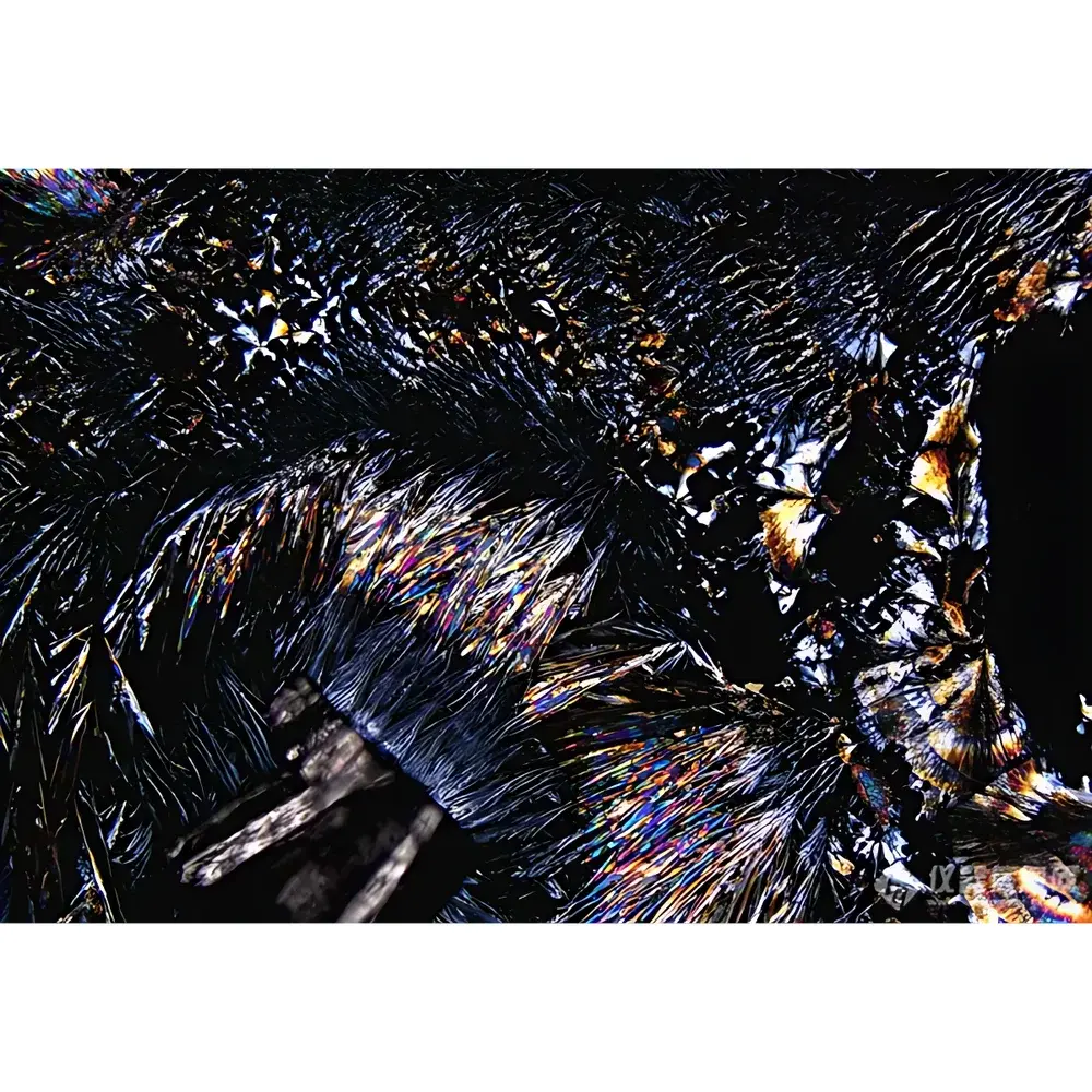 LEI-TECH LK-530P Research-Grade Upright Polarizing Microscope