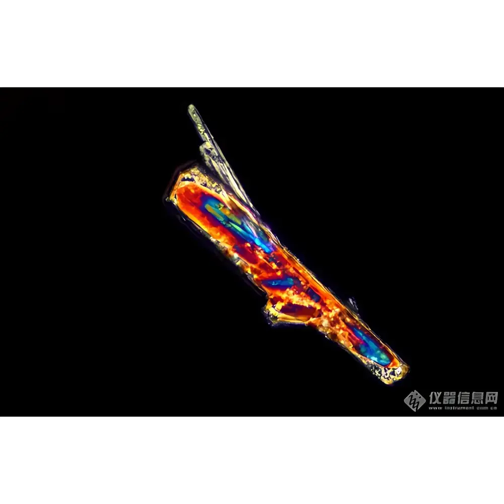 LEI-TECH LK-530P Research-Grade Upright Polarizing Microscope