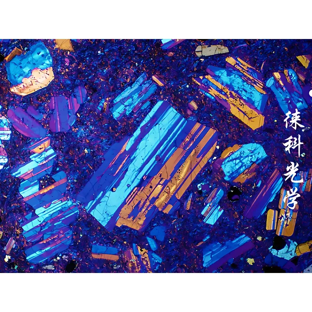LEI-TECH LK53P Research-Grade Polarizing Microscope for Pharmaceutical Transmitted/Reflected Light Analysis