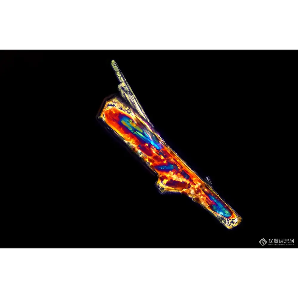 LEI-TECH LK53P Research-Grade Polarizing Microscope for Pharmaceutical Transmitted/Reflected Light Analysis