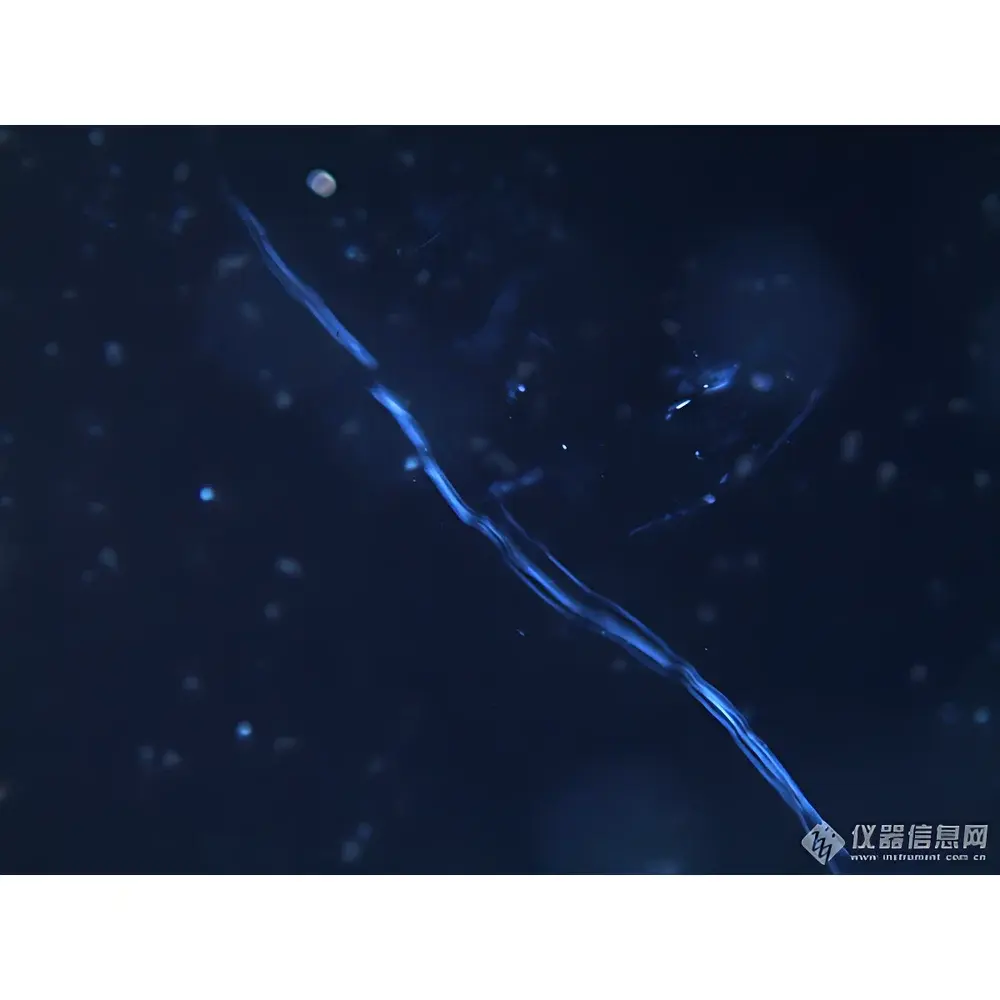 LEI-TECH LK-53P-S Research-Grade Asbestos Identification Polarizing Microscope