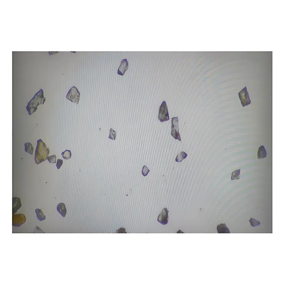 Guance Instruments ZKFT1600 Automated Image-Based Particle Size and Shape Analyzer