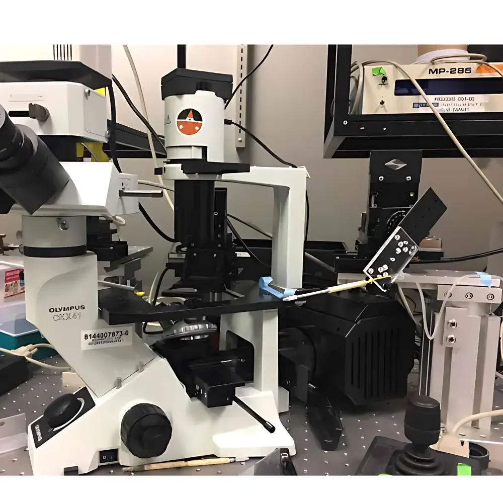 Sutter XenWorks Micromanipulation and Microinjection System