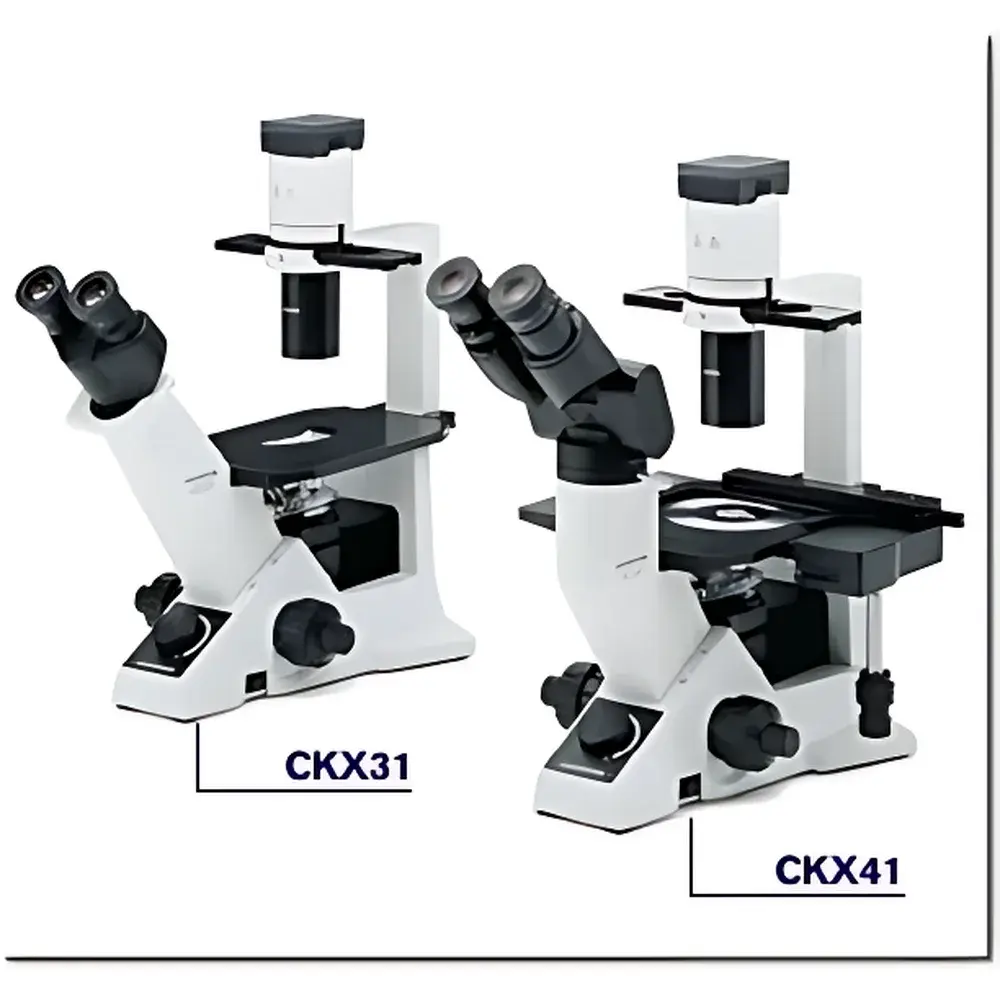 Olympus CKX31 Inverted Biological Microscope