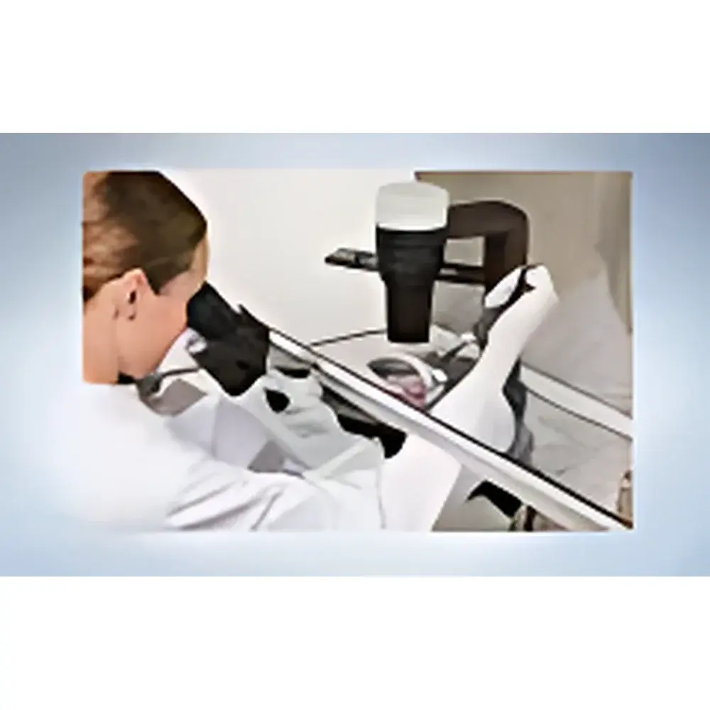 Olympus CKX53 Inverted Microscope