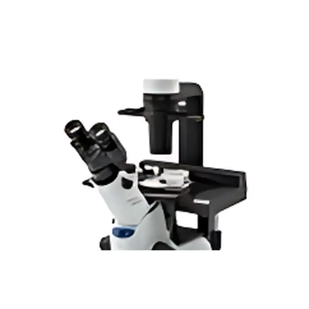 OLYMPUS CKX41 Inverted Biological Microscope