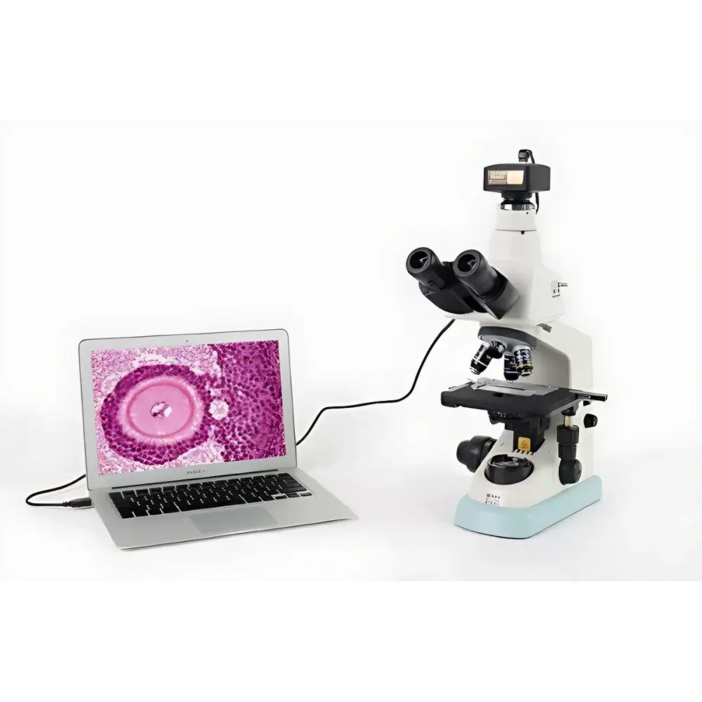 Nikon E100 Biological Microscope