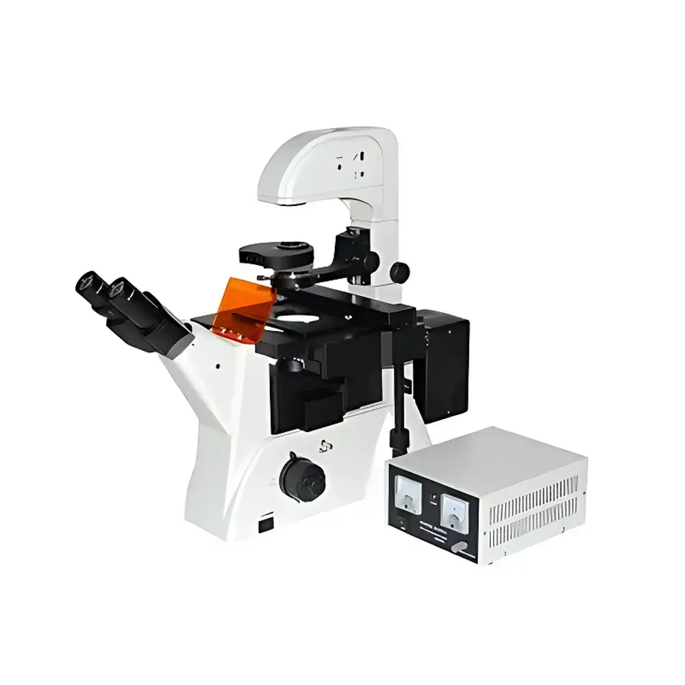 XD200-FL Inverted Fluorescence Biological Microscope