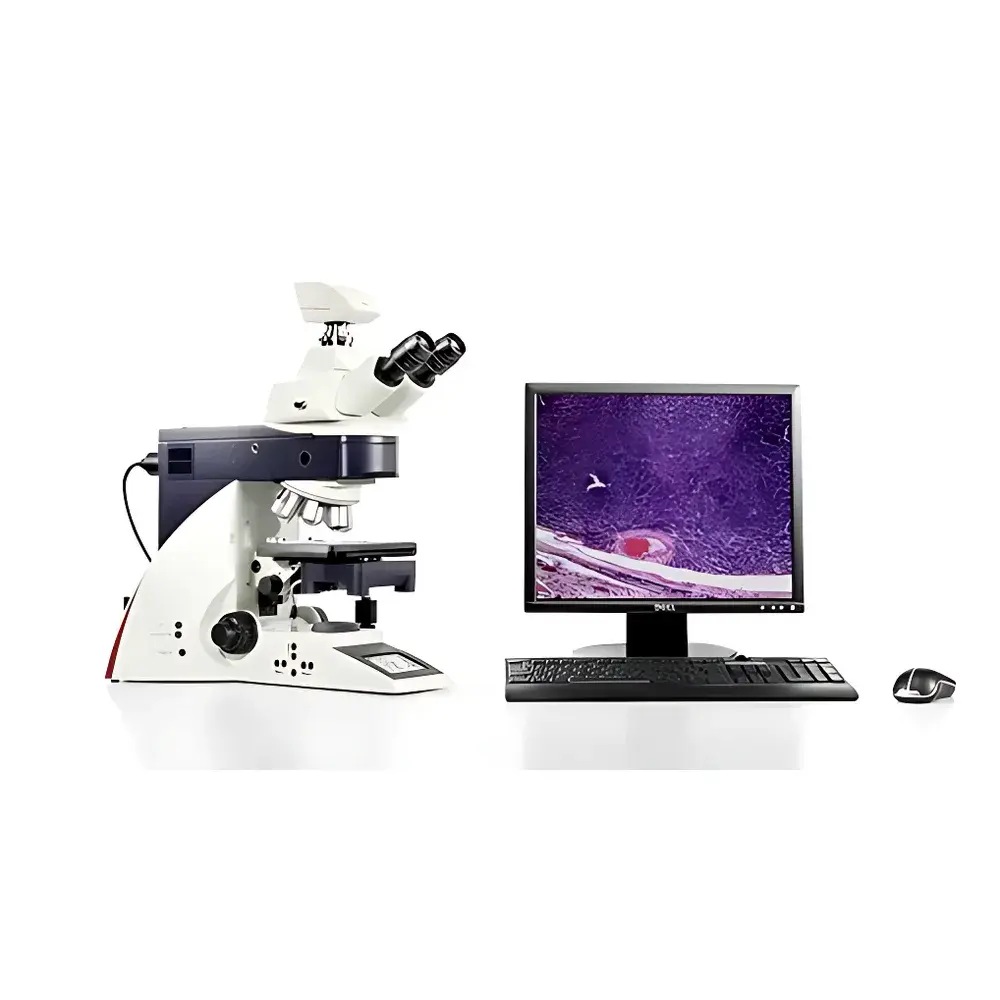 Leica DM4000B Biological Microscope
