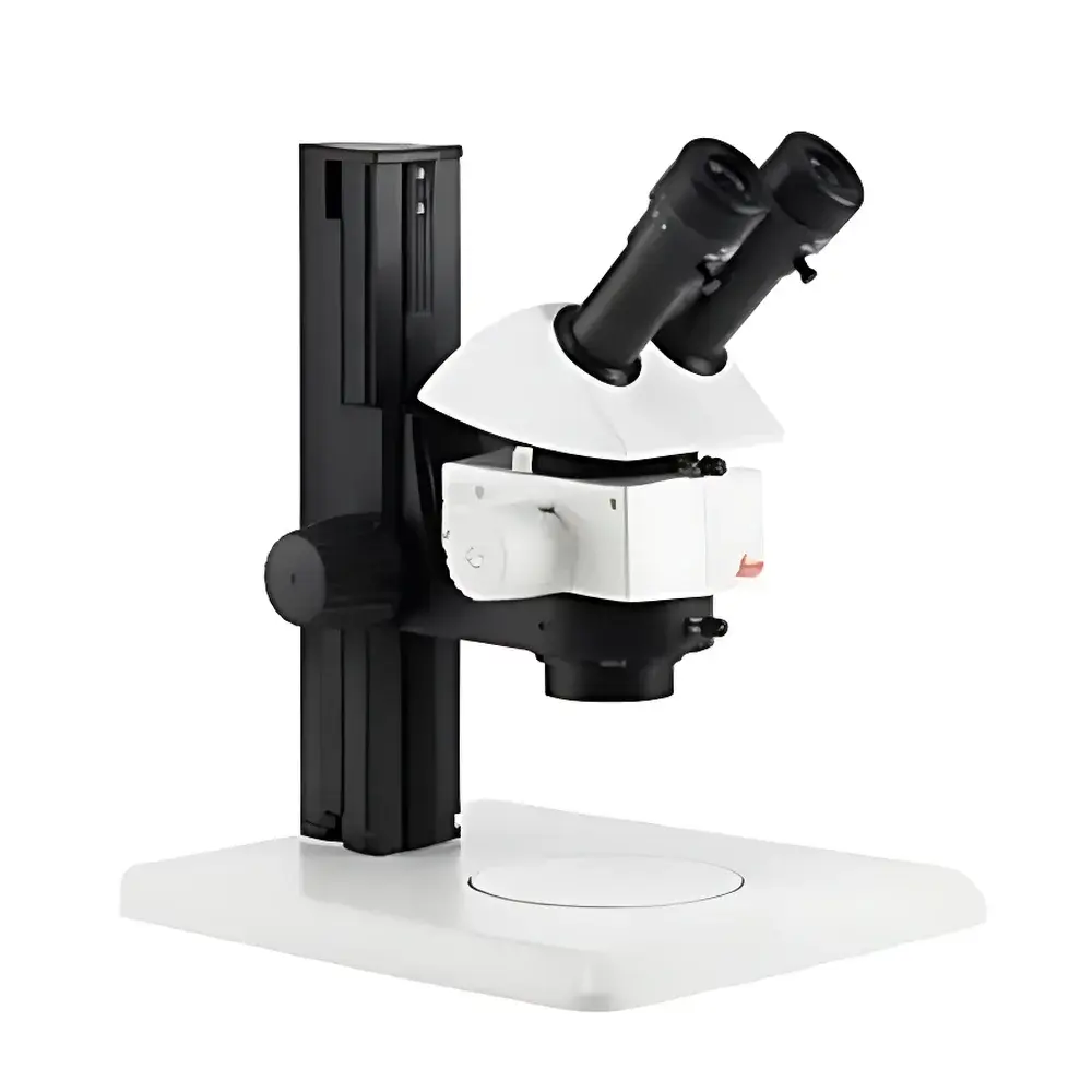 Leica M80 Stereo Microscope