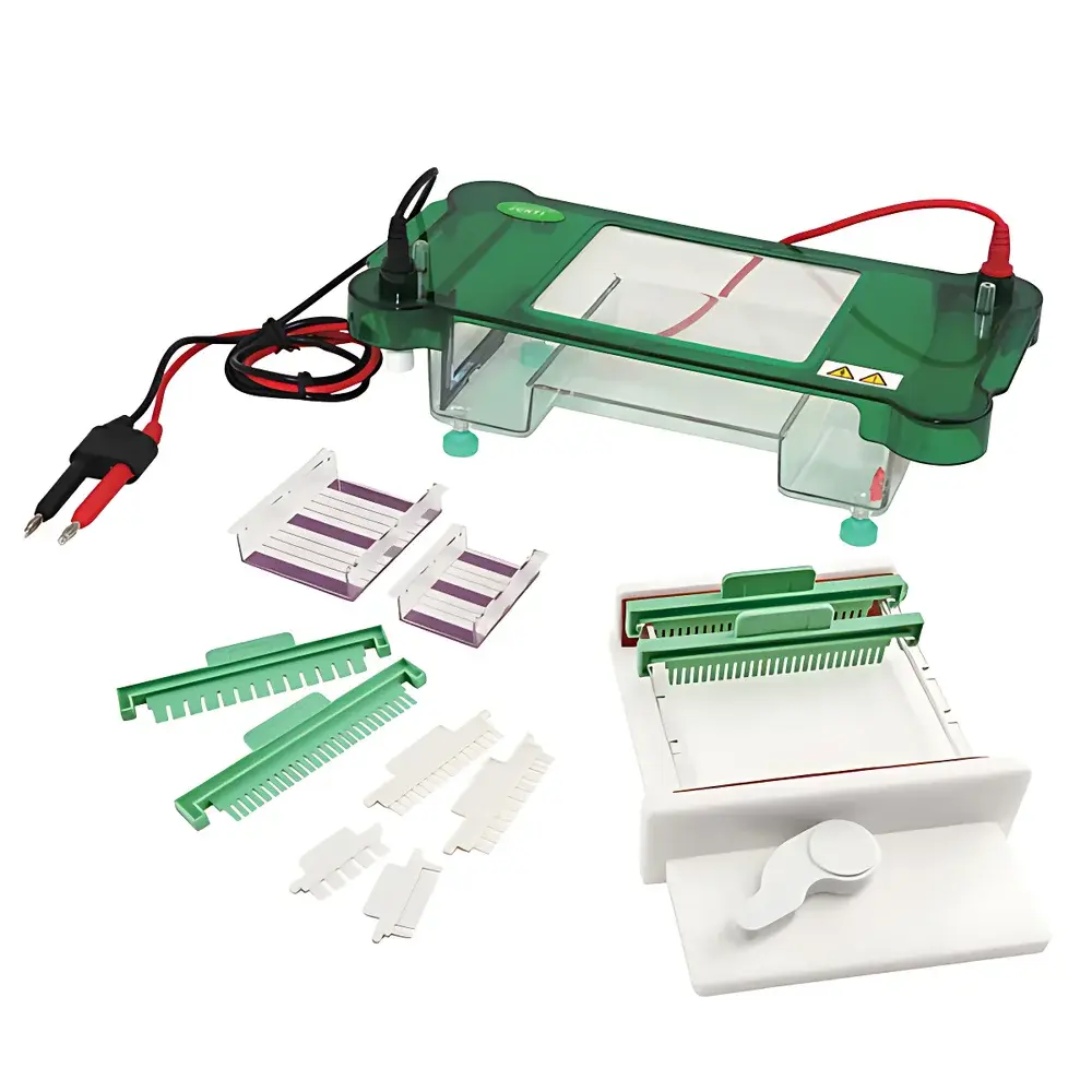 Junyi JY-SPFT Horizontal Electrophoresis System