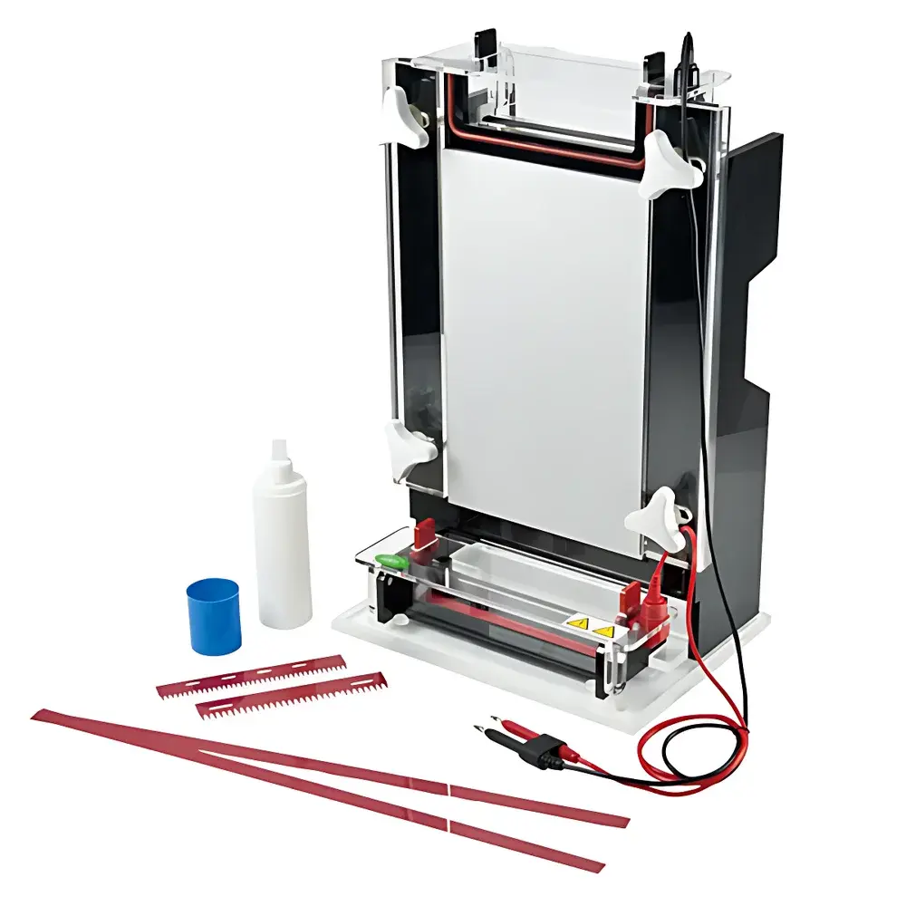 Junyi JY-CX1B Isoelectric Focusing Electrophoresis Tank