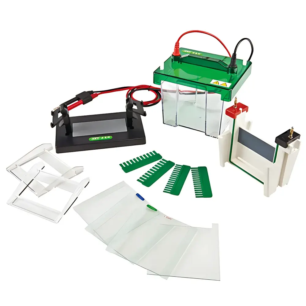 Junyi JY-SCZ2+ Vertical Protein Electrophoresis Tank