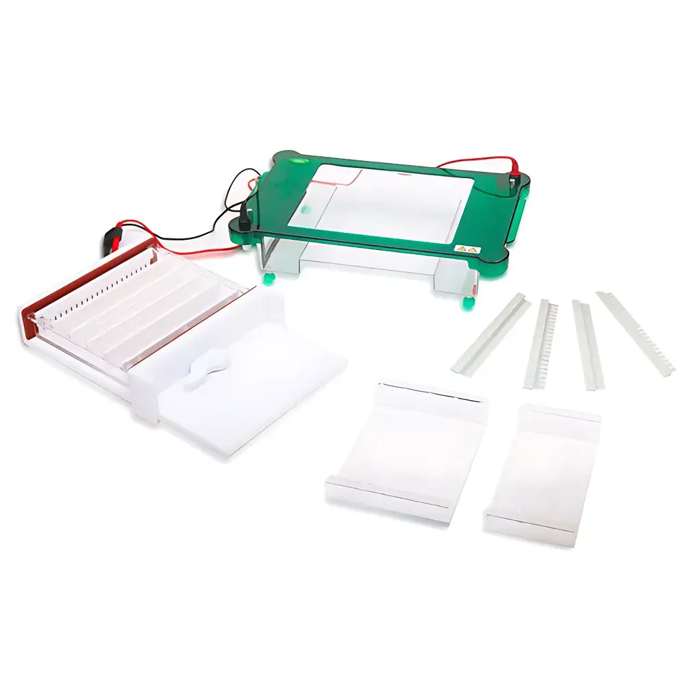 Junyi JY-SPGT Horizontal Electrophoresis Tank
